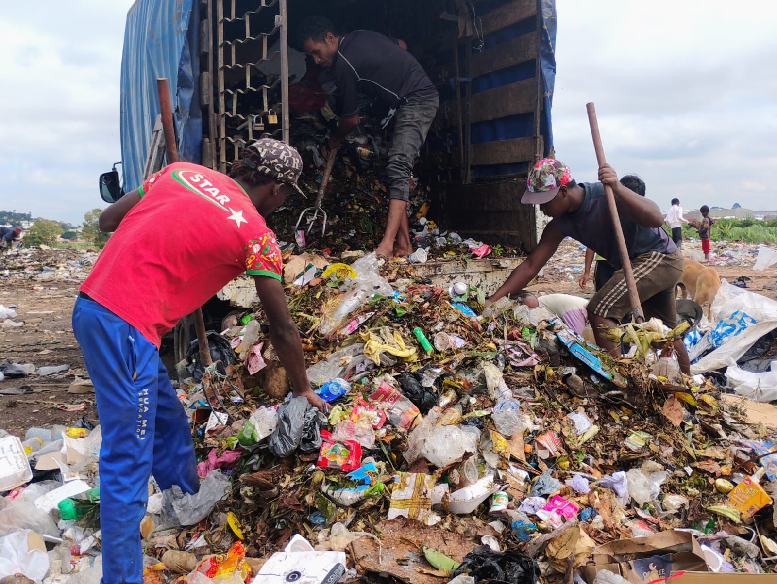 Close-up of human hands carefully sorting through organic waste.